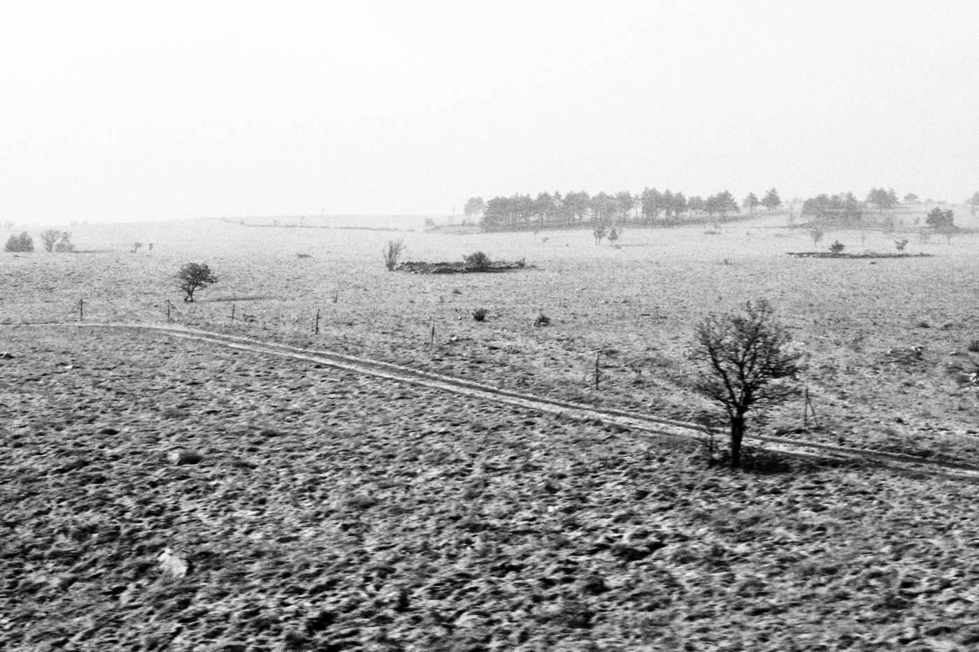 Image of a snowy landscape